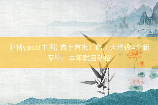 亚搏yabo(中国) 寰宇首批！哈工大增设4个新专科，本年就启动招