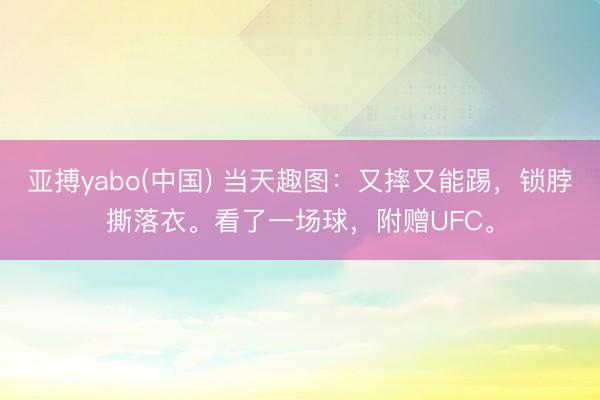 亚搏yabo(中国) 当天趣图：又摔又能踢，锁脖撕落衣。看了一场球，附赠UFC。