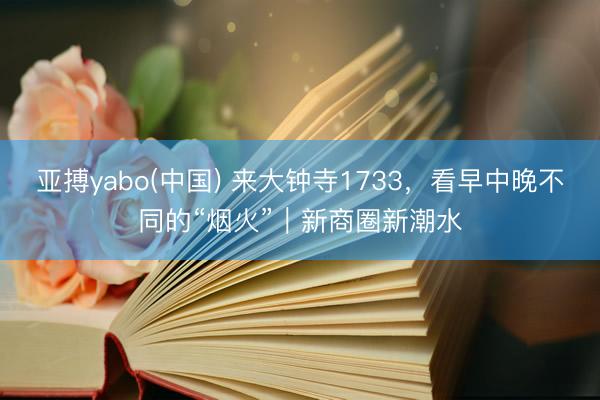 亚搏yabo(中国) 来大钟寺1733,看早中晚不同的“烟火”|新商圈新潮水