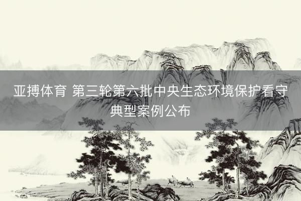 亚搏体育 第三轮第六批中央生态环境保护看守典型案例公布