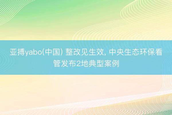 亚搏yabo(中国) 整改见生效， 中央生态环保看管发布2地典型案例