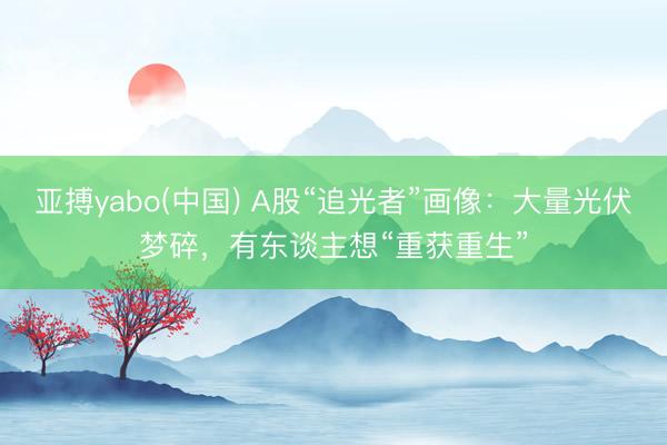 亚搏yabo(中国) A股“追光者”画像:大量光伏梦碎,有东谈主想“重获重生”