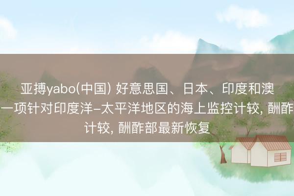 亚搏yabo(中国) 好意思国、日本、印度和澳大利亚运行一项针对印度洋-太平洋地区的海上监控计较， 酬酢部最新恢复