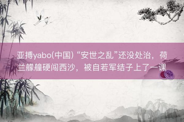 亚搏yabo(中国) “安世之乱”还没处治，荷兰艨艟硬闯西沙，被自若军结子上了一课