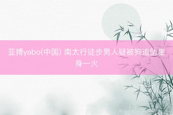 亚搏yabo(中国) 南太行徒步男人疑被狗追坠崖身一火