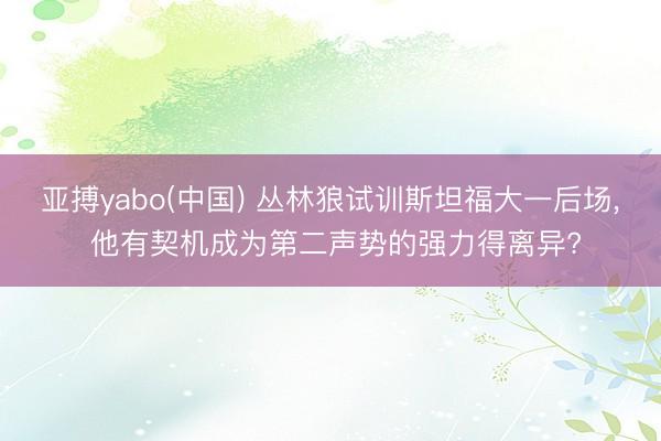 亚搏yabo(中国) 丛林狼试训斯坦福大一后场， 他有契机成为第二声势的强力得离异?