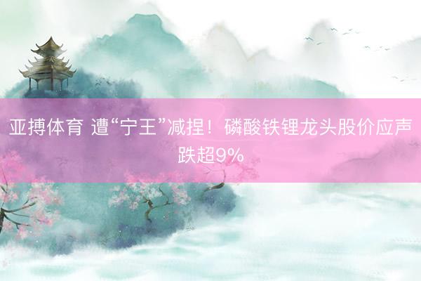 亚搏体育 遭“宁王”减捏！磷酸铁锂龙头股价应声跌超9%