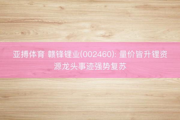 亚搏体育 赣锋锂业(002460): 量价皆升锂资源龙头事迹强势复苏