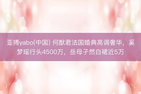 亚搏yabo(中国) 何猷君法国婚典高调奢华,奚梦瑶行头4500万,岳母孑然白裙近5万