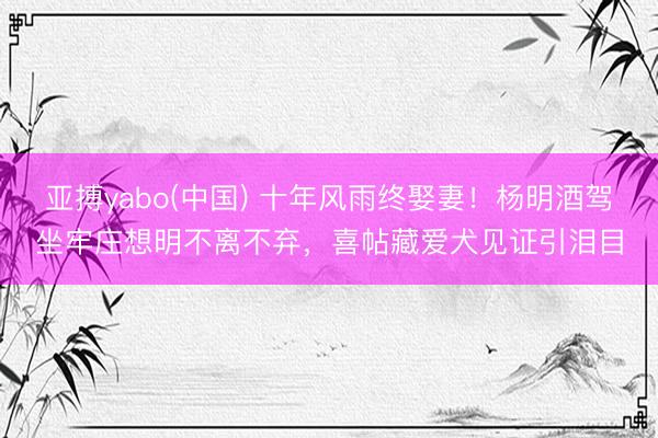 亚搏yabo(中国) 十年风雨终娶妻!杨明酒驾坐牢庄想明不离不弃,喜帖藏爱犬见证引泪目