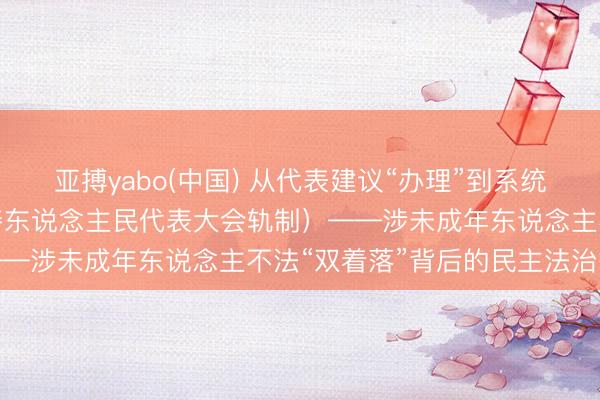 亚搏yabo(中国) 从代表建议“办理”到系统施策“治理”（坚执和完善东说念主民代表大会轨制）——涉未成年东说念主不法“双着落”背后的民主法治答卷
